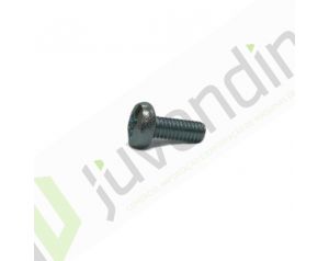 PARAFUSO 4X10 MOINHO